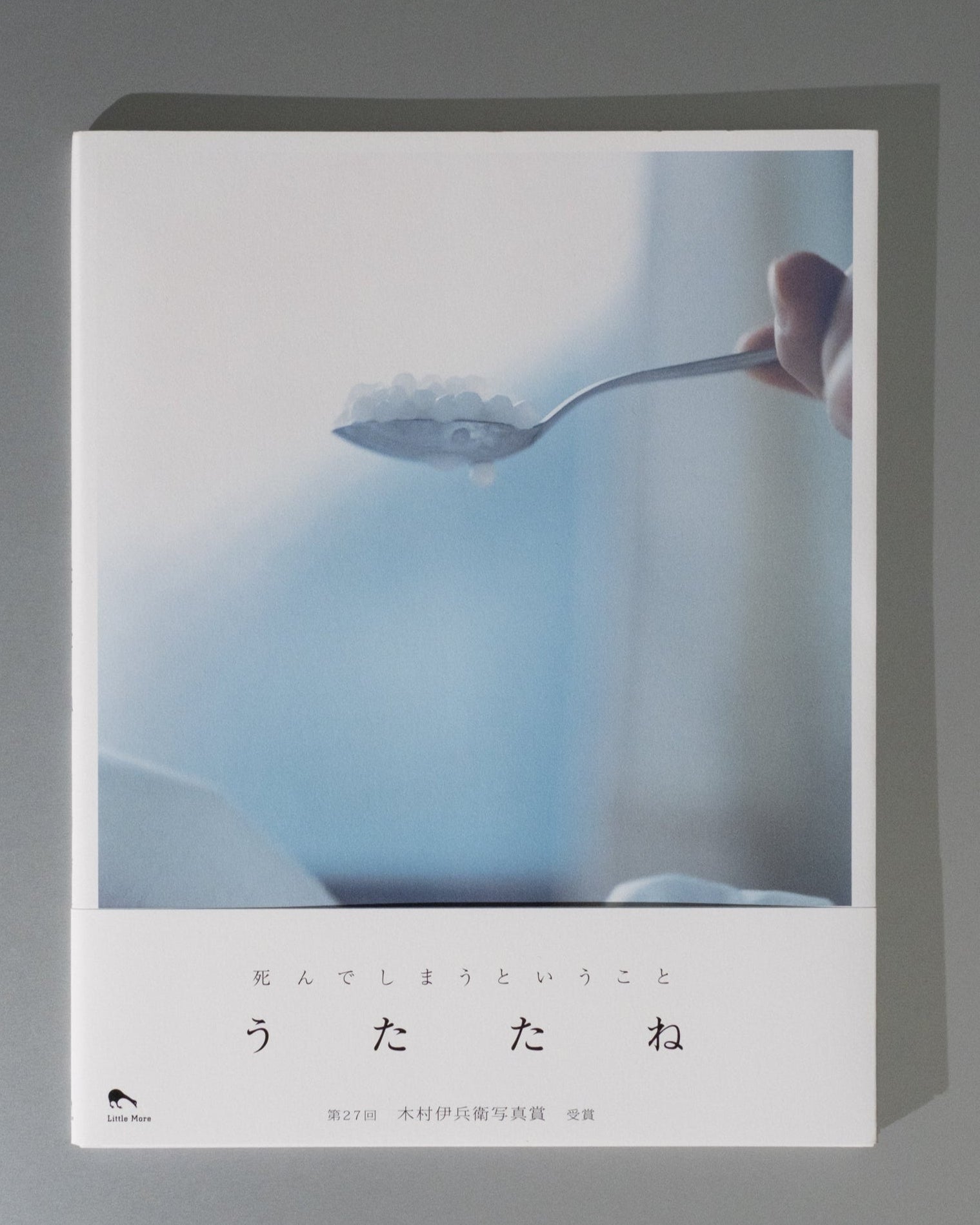 Book cover with a spoon holding a small object against a light background