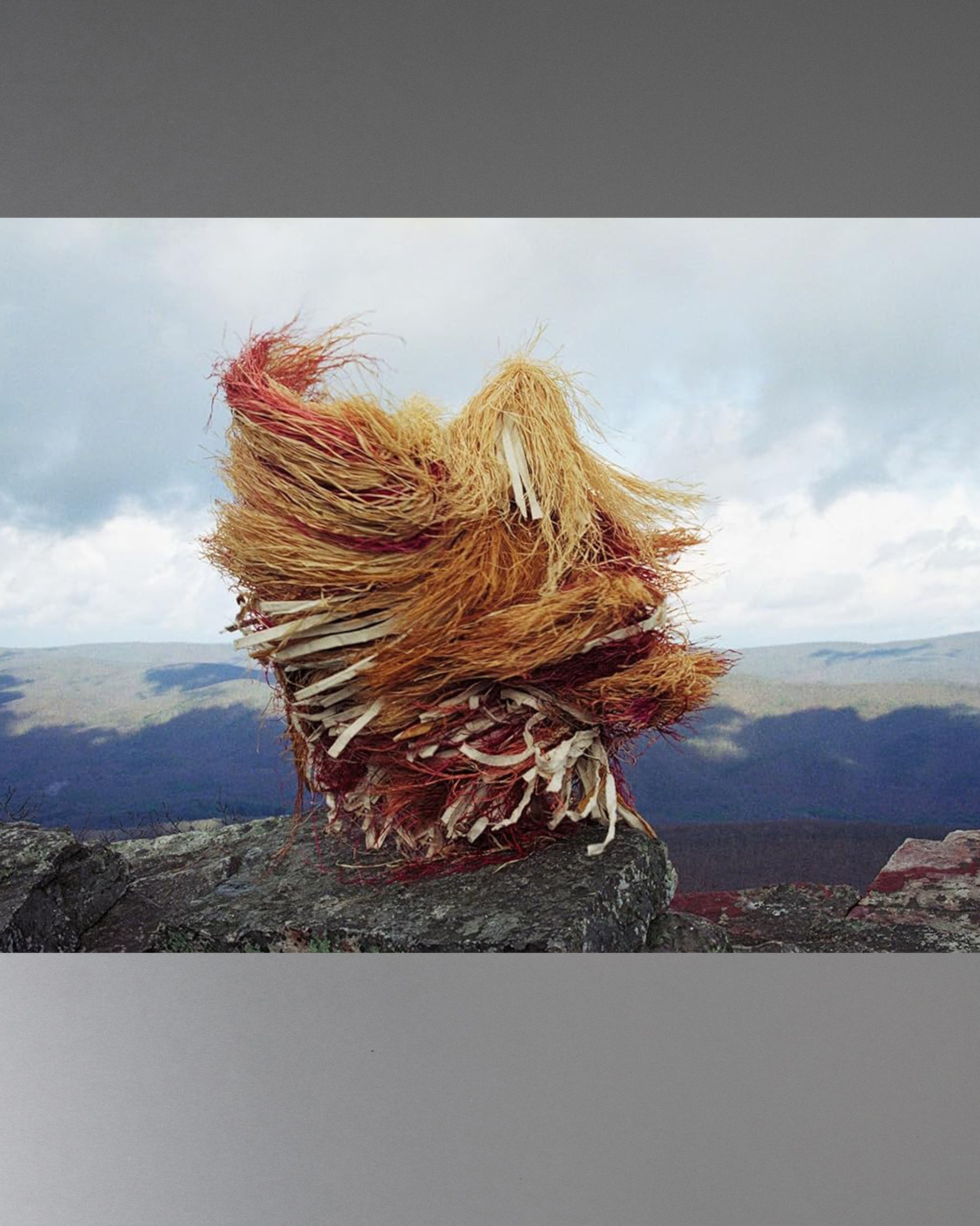 RE/SISTERS: A Lens on Gender and Ecology