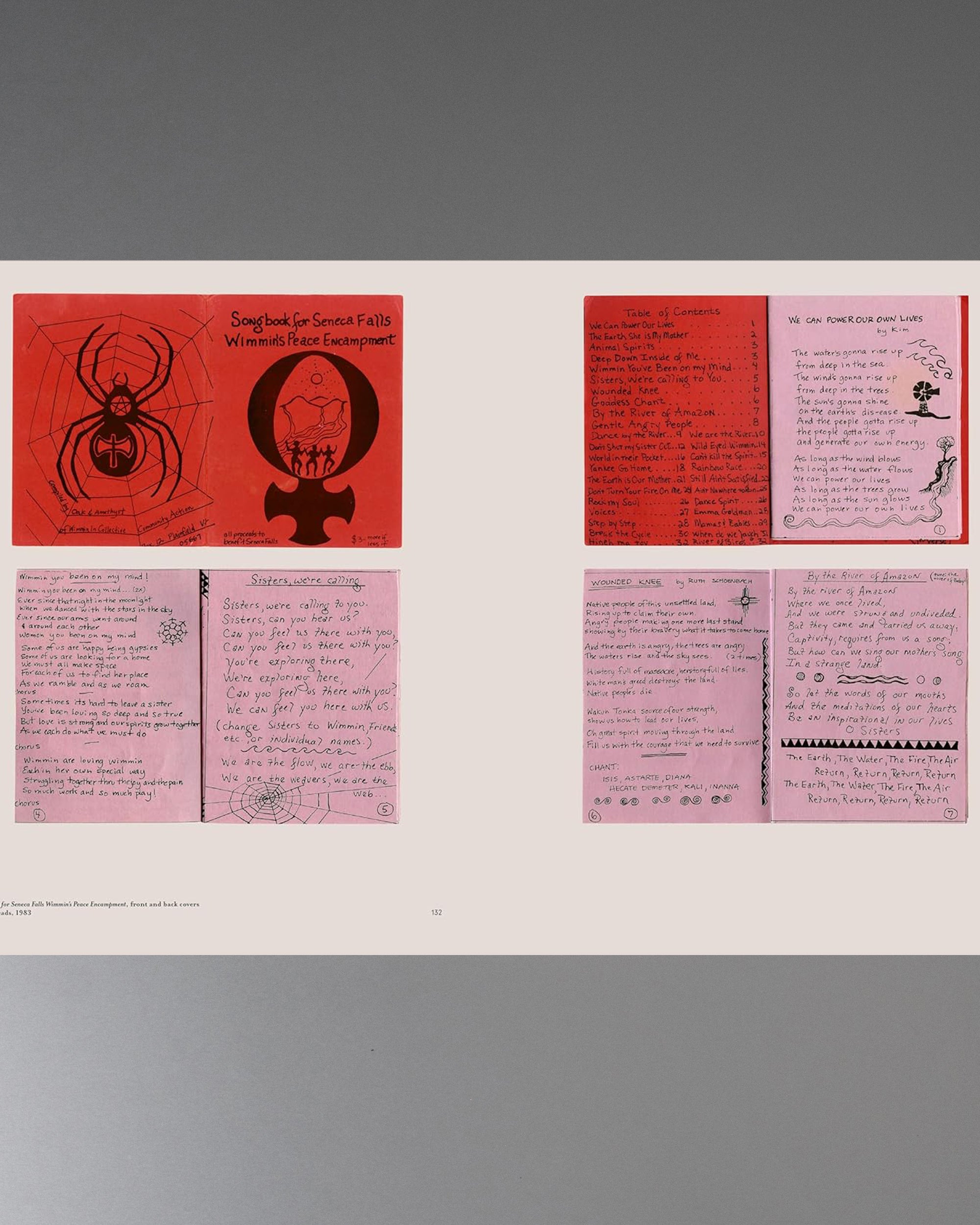 RE/SISTERS: A Lens on Gender and Ecology