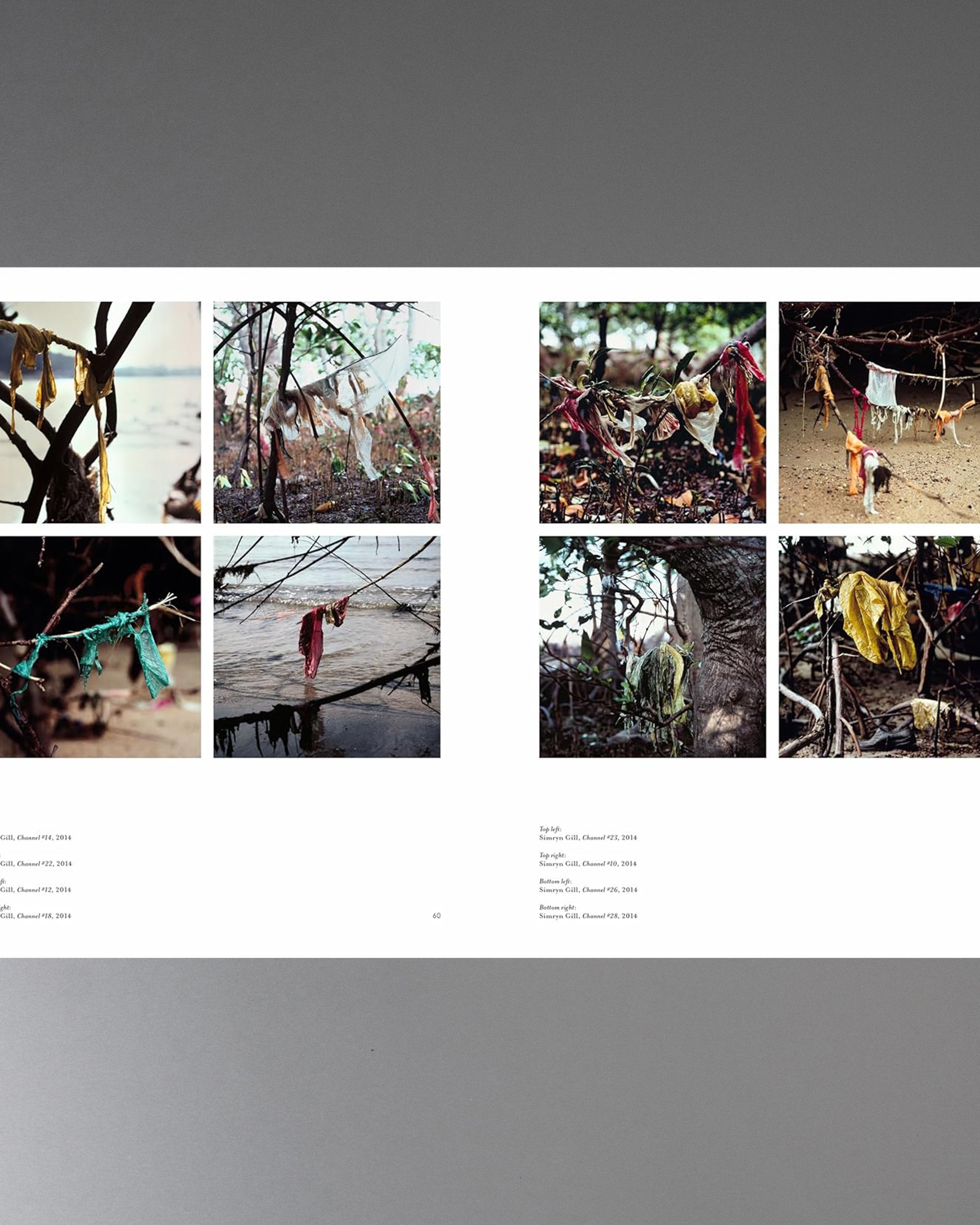 RE/SISTERS: A Lens on Gender and Ecology