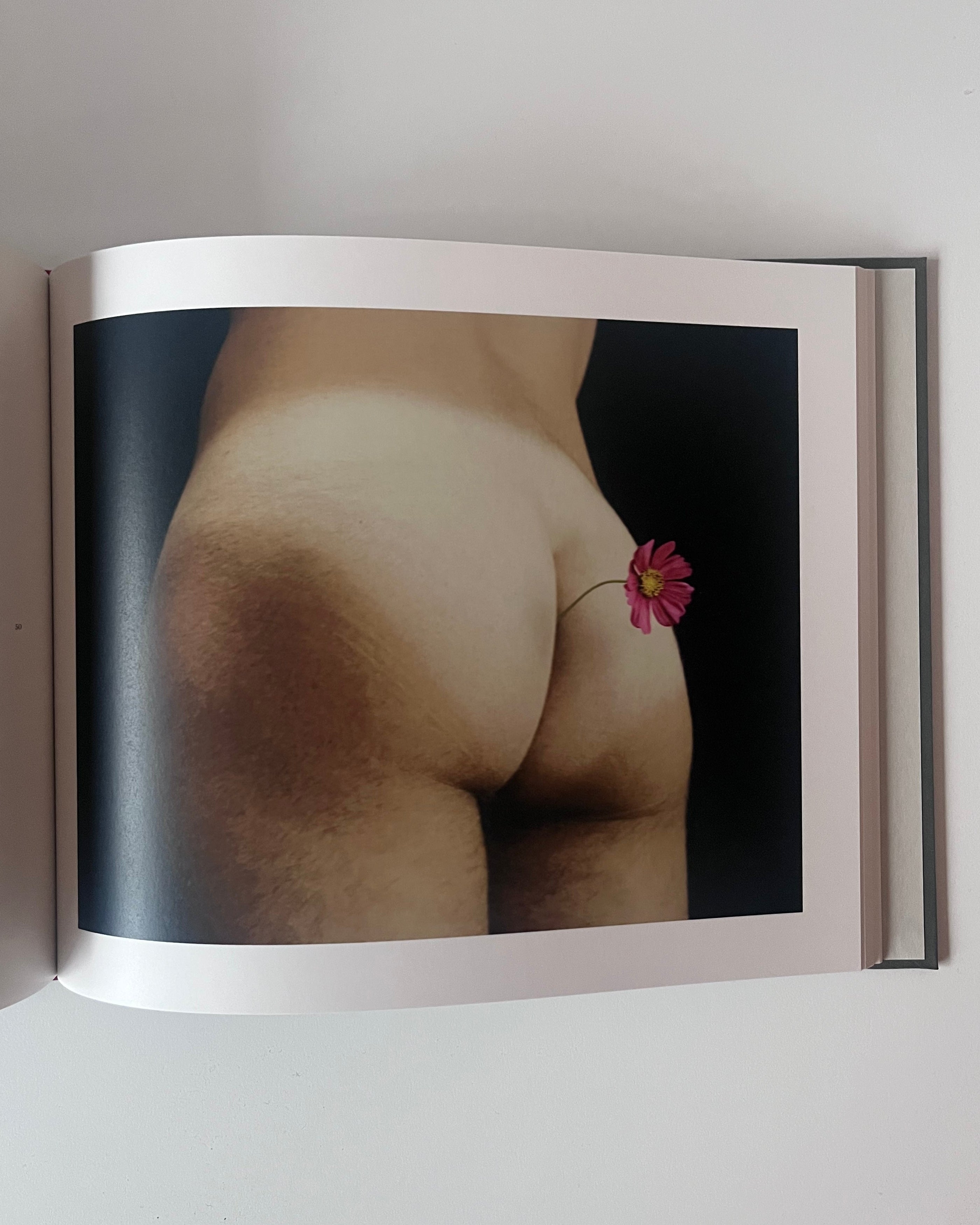 Framed artwork of a person's lower body with a flower on a white wall.