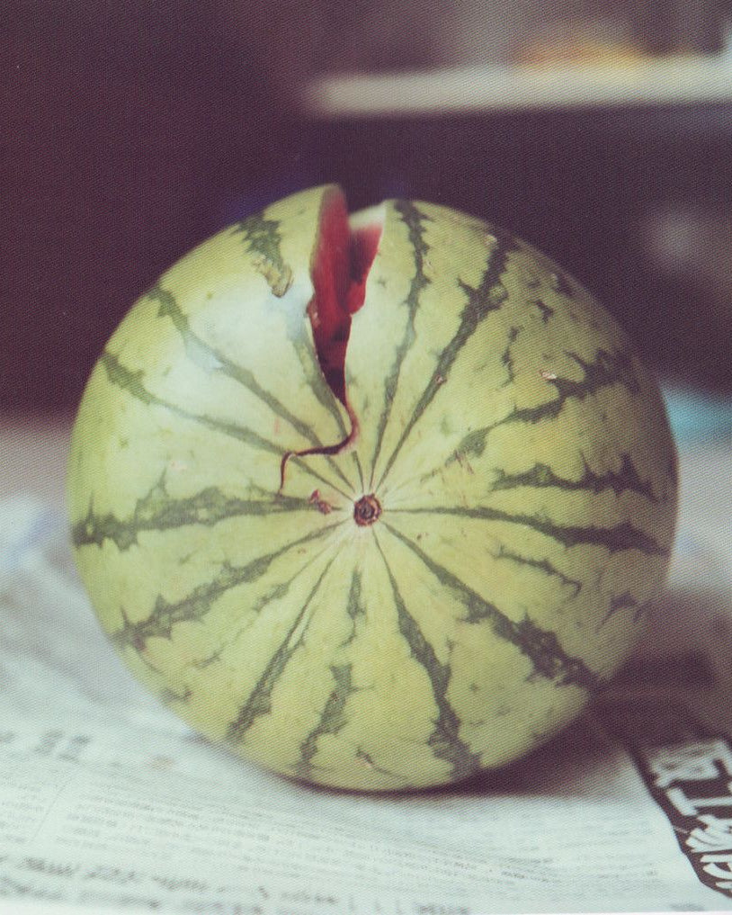 Rinko Kawauchi Utatane