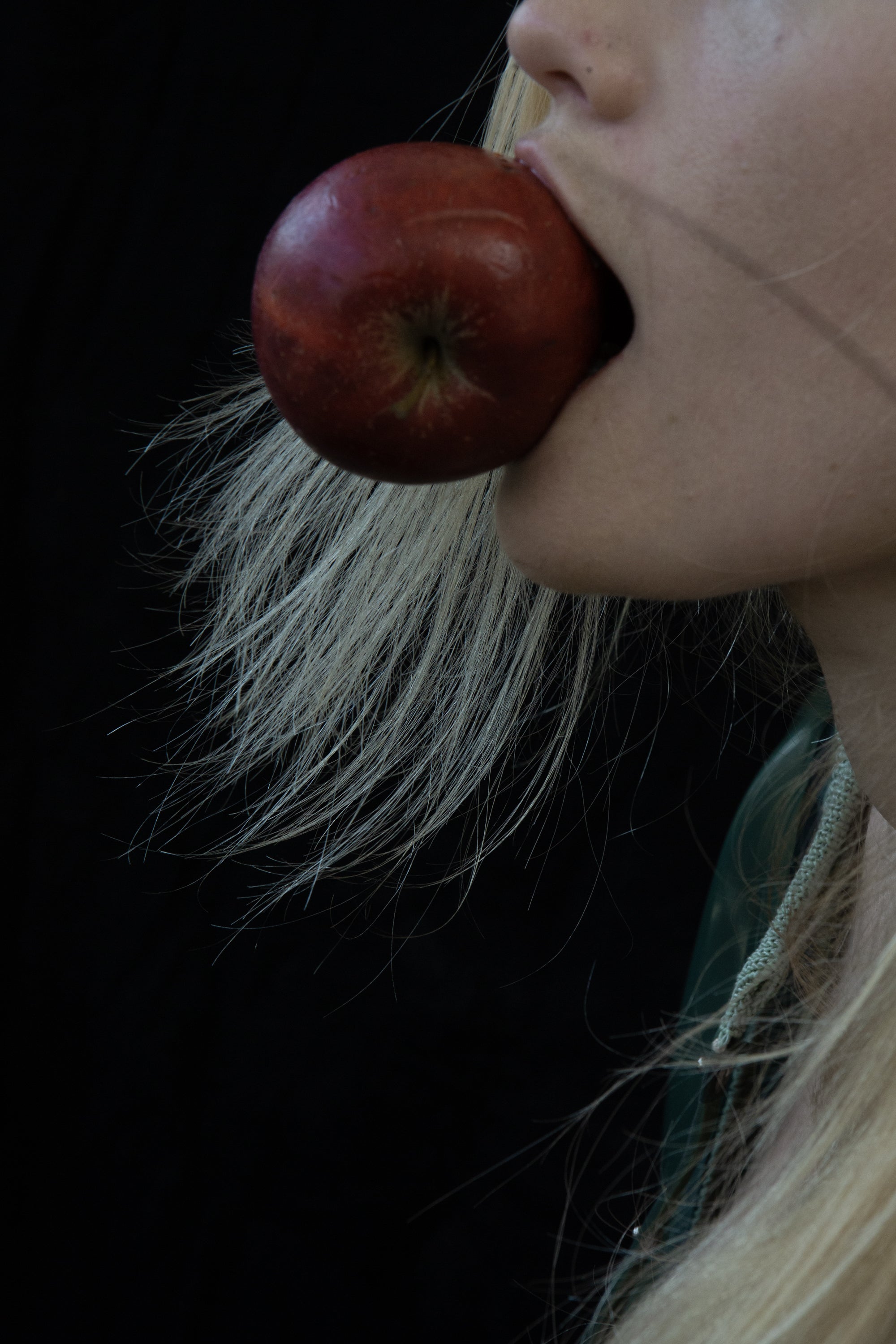 The Sensual World Gift Card