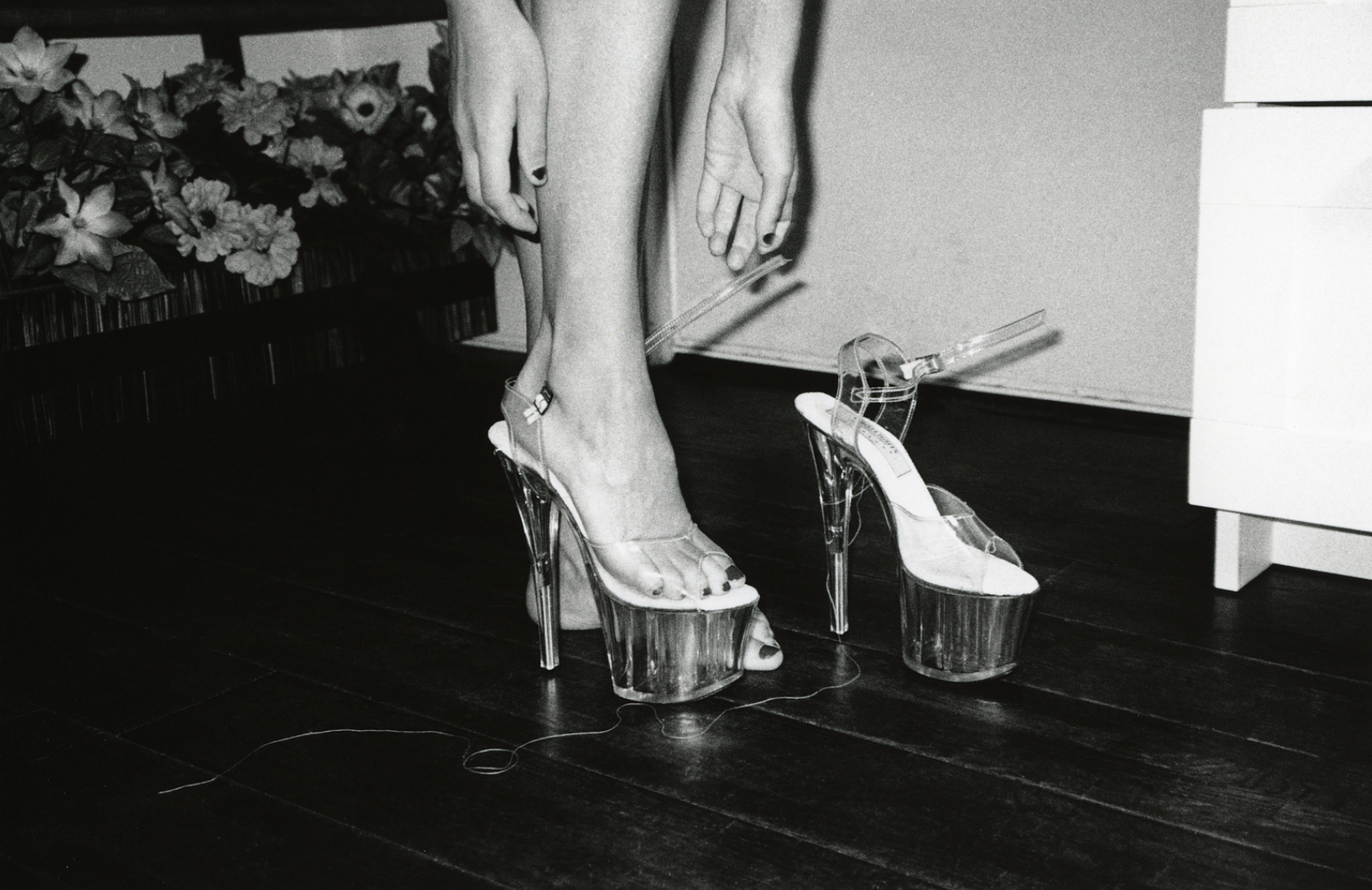 Anna Sampson Venus Envy Set